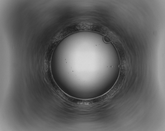 X0000116660751200912211507