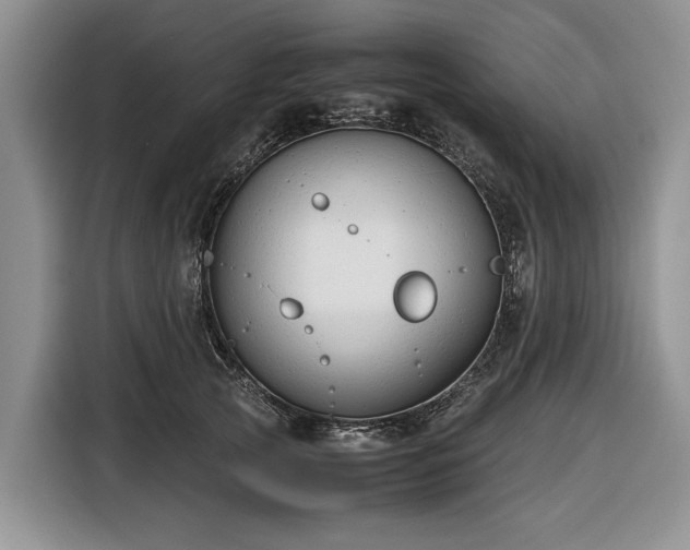 X0000116660753200912211507