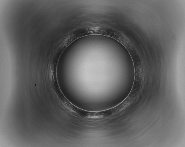 X0000116660754200912211507