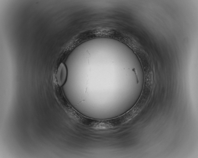 X0000116660755200912211507