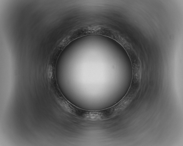 X0000116660758200912211507