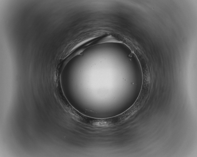 X0000116660759200912211507