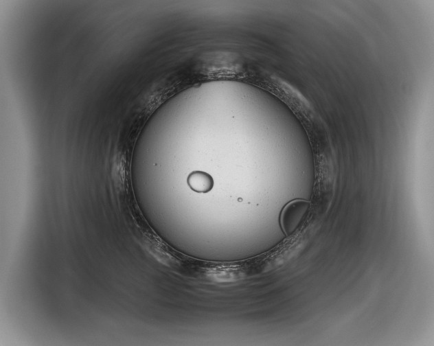 X0000116660761200912211507