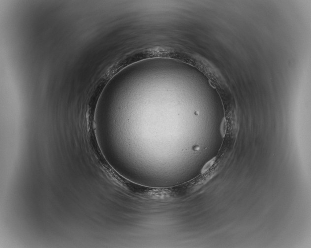 X0000116660762200912211507