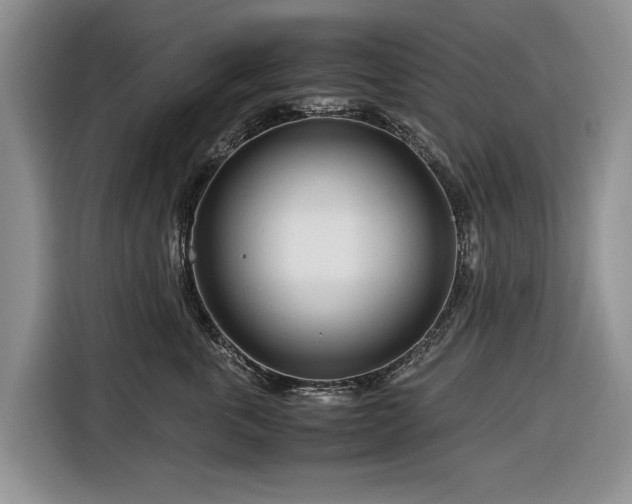 X0000116660763200912211507