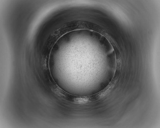 X0000116660765200912211507