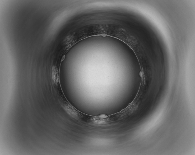 X0000116660766200912211507