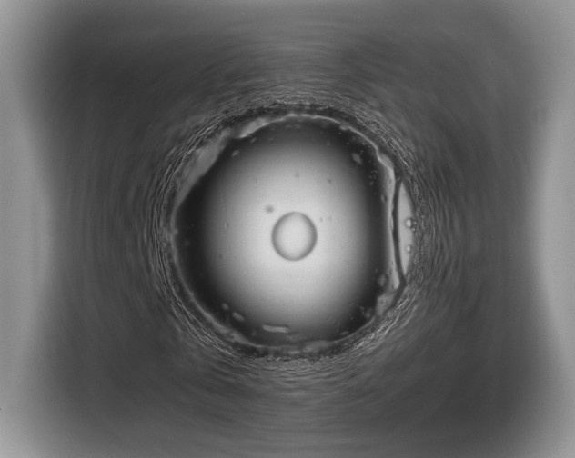 X0000116660769200912211506