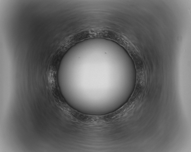 X0000116660770200912211506