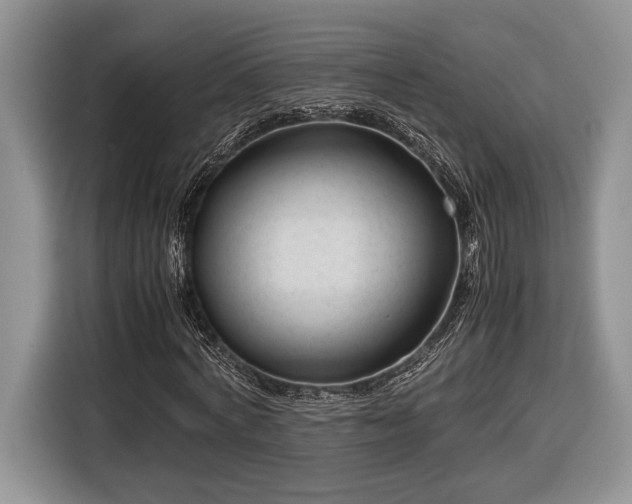 X0000116660772200912211506