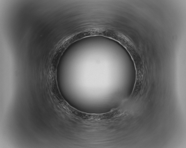 X0000116660773200912211506