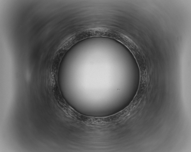 X0000116660774200912211506