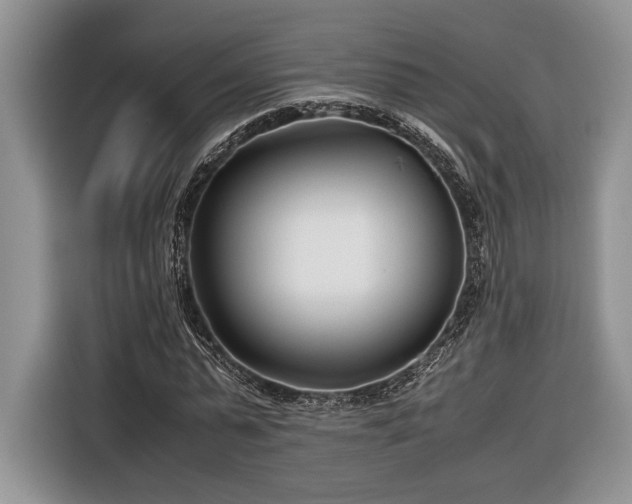 X0000116660775200912211506