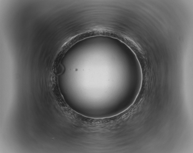 X0000116660776200912211506