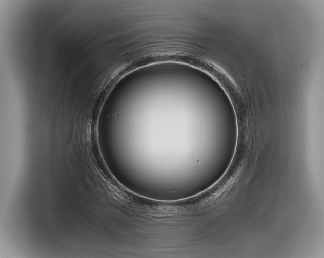 X0000116660777200912211506