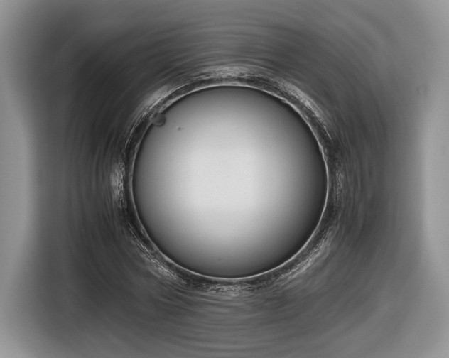 X0000116660778200912211506