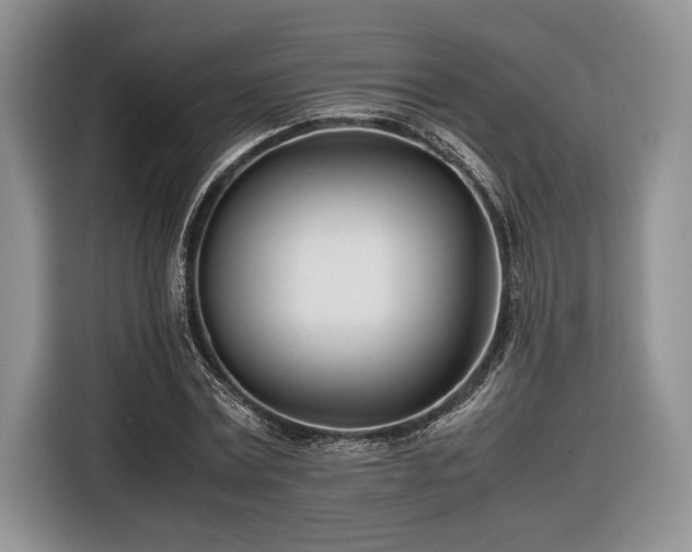 X0000116660779200912211506