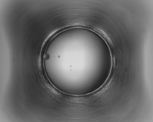 X0000116660780200912211506