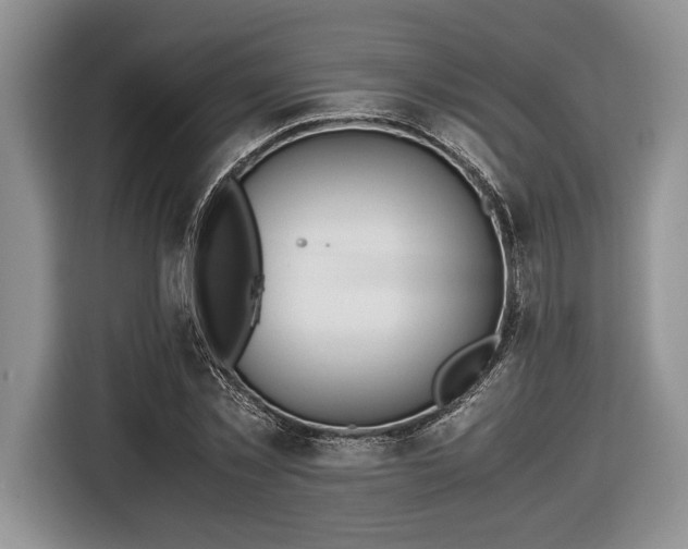 X0000116660781200912211506