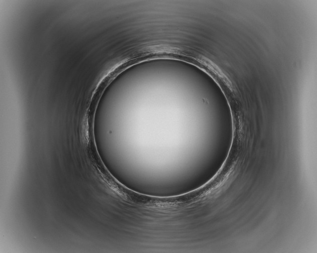 X0000116660782200912211506