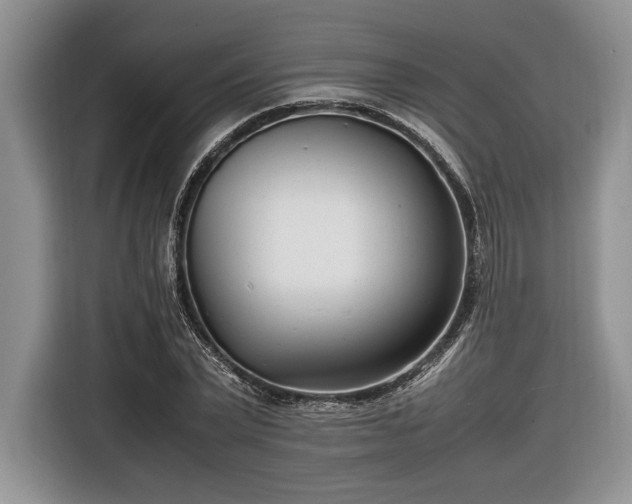 X0000116660783200912211506