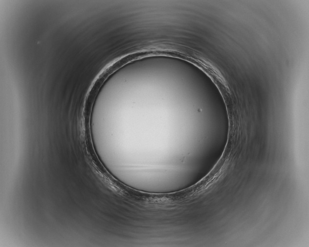 X0000116660784200912211506