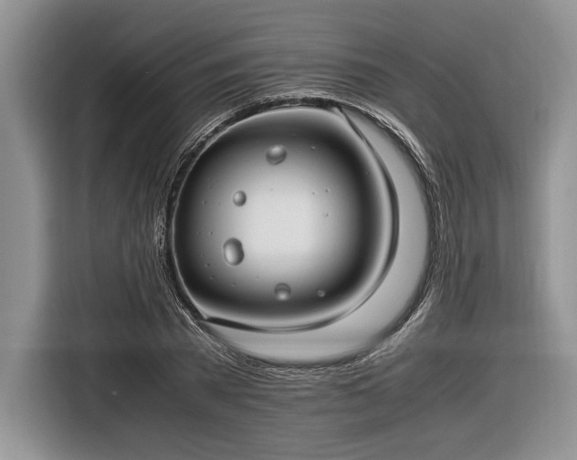 X0000116660785200912211506