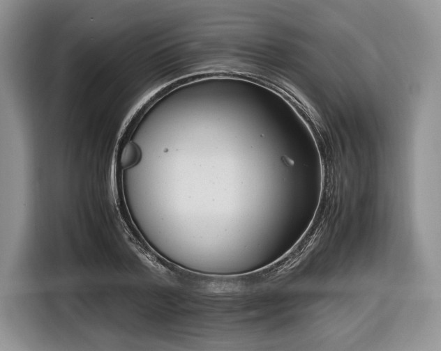 X0000116660788200912211506