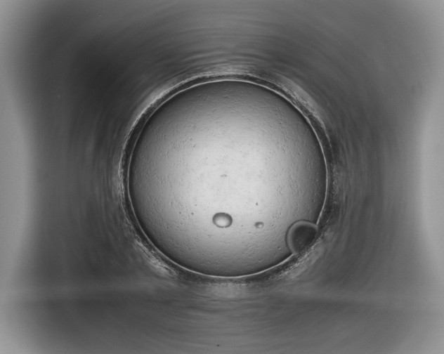 X0000116660789200912211506