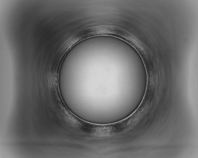 X0000116660793200912211506