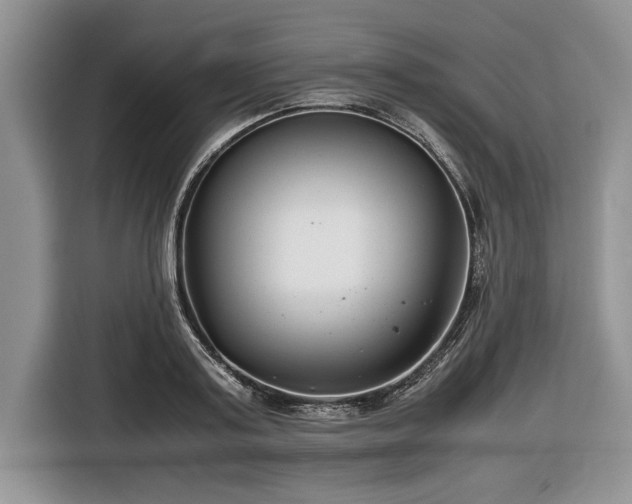 X0000116660795200912211506