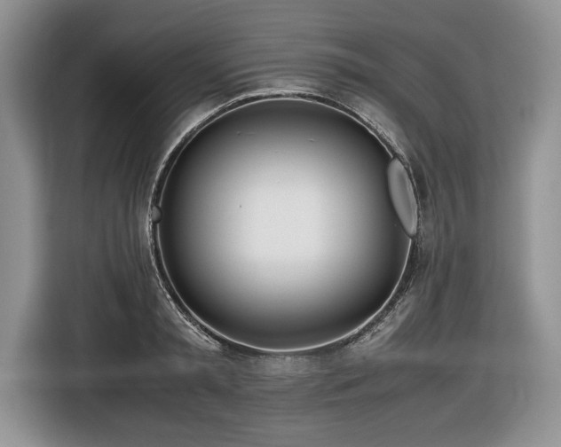 X0000116660797200912211506