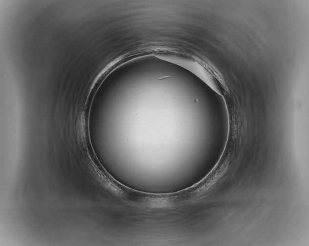 X0000116660798200912211506