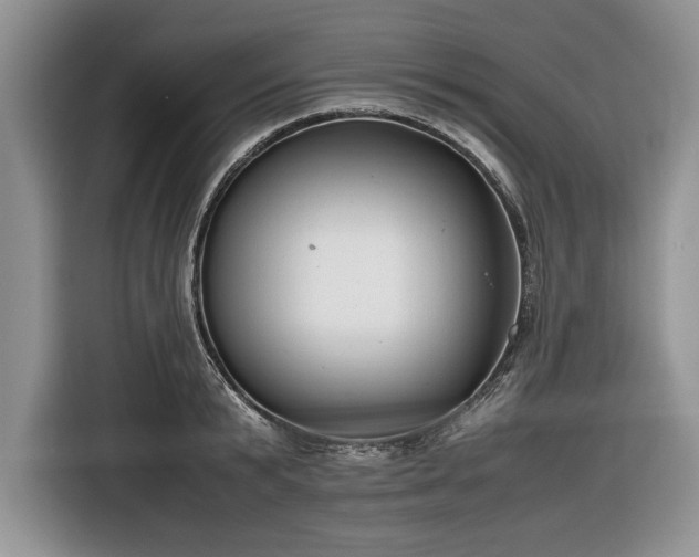 X0000116660799200912211506