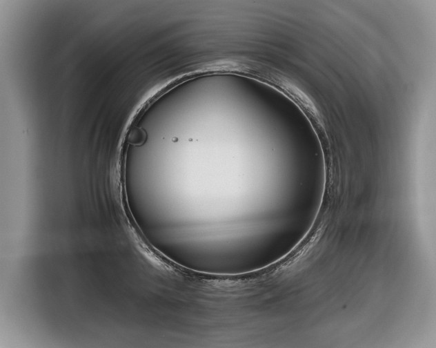 X0000116660800200912211506