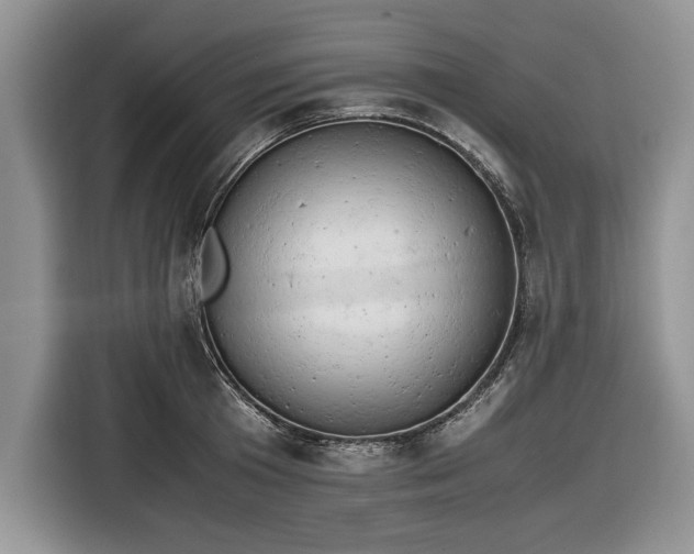 X0000116660801200912211506