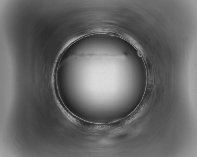 X0000116660803200912211506