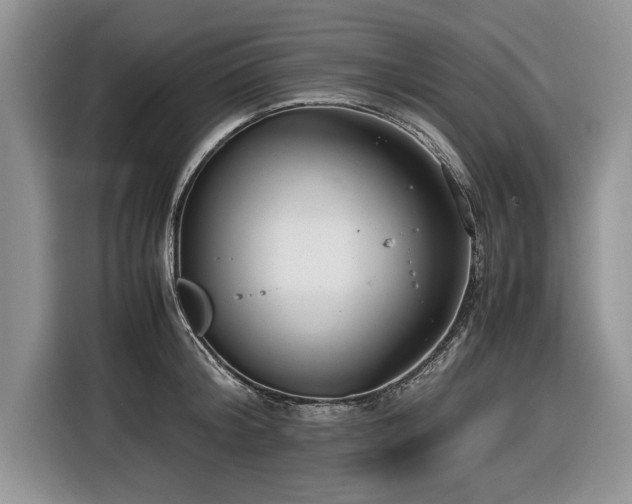 X0000116660804200912211506