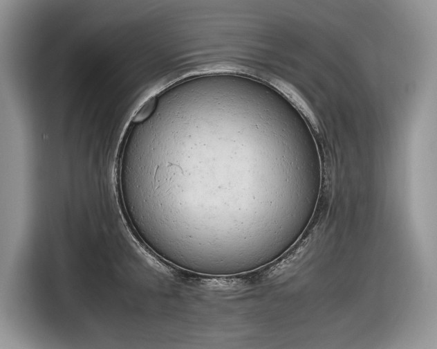 X0000116660805200912211506