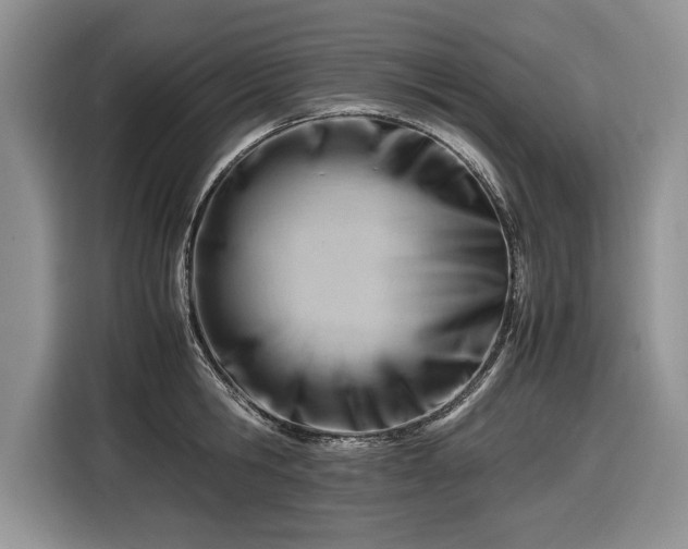 X0000116660806200912211506