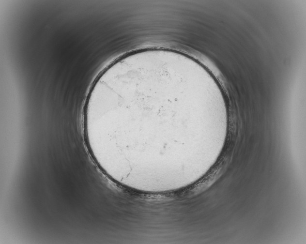 X0000116660807200912211506