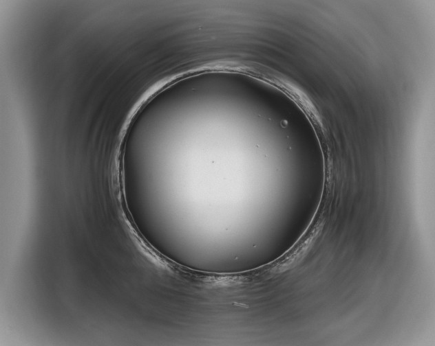 X0000116660808200912211506