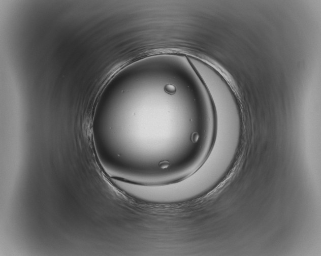 X0000116660809200912211506