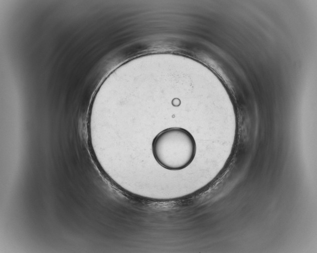 X0000116660810200912211506