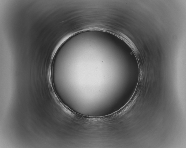 X0000116660812200912211506