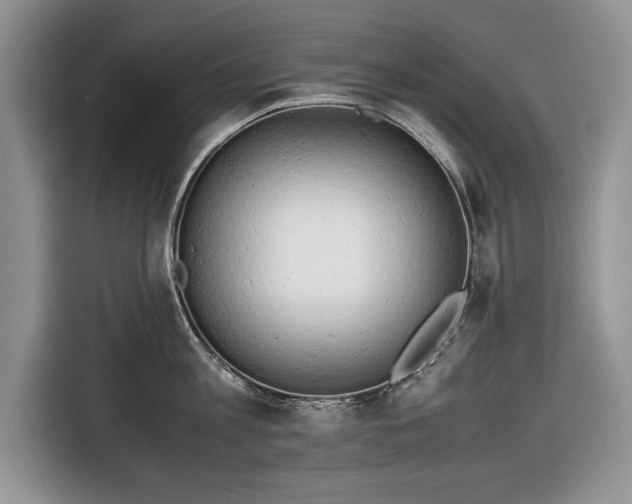 X0000116660813200912211506