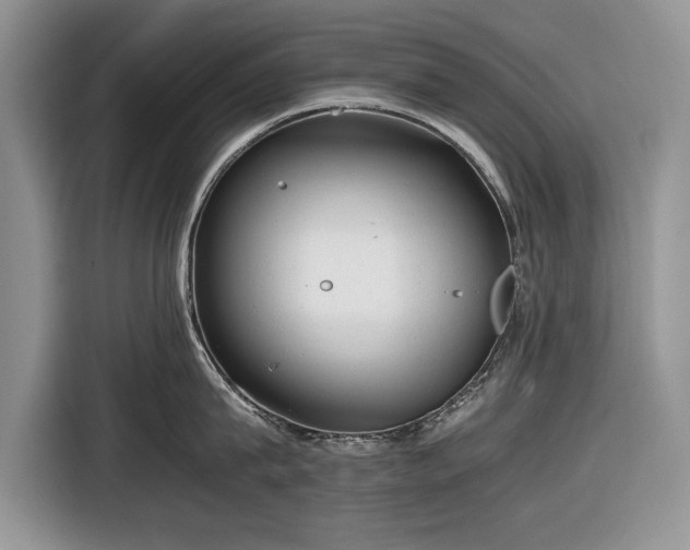 X0000116660815200912211506