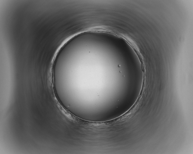 X0000116660816200912211506