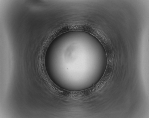 X0000116660817200912211505