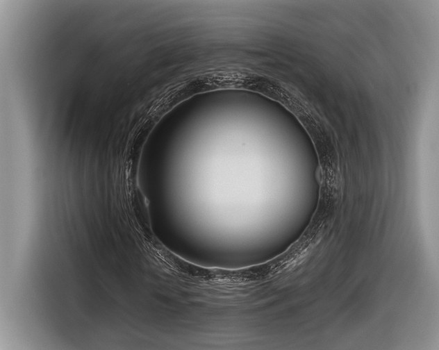 X0000116660818200912211505